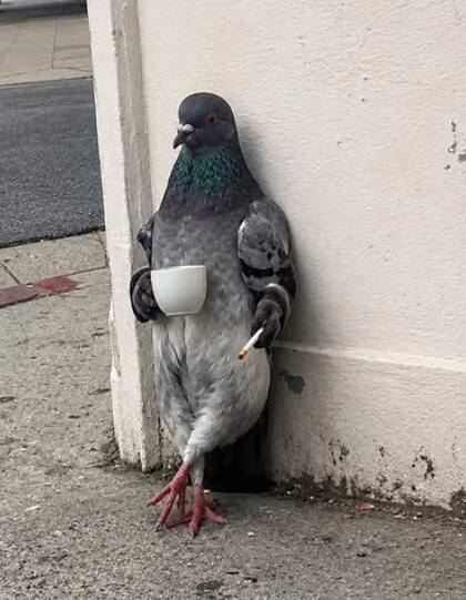 Pigeon standing upright holding a coffee cup and a cigarette, leaning against a wall